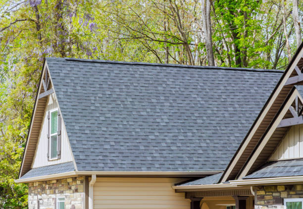 Best Solar Panel Roofing Installation  in Hooverson Heights, WV